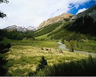 《极限竞速：地平线5》穿越侏罗纪主播娱乐赛火热开赛，赛果新鲜出炉！